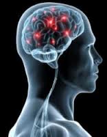 Brain Injury Myths Your Brain Injury Lawyer Should Dispel